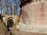 SORTIE CHATEAU FALKENSTEIN ROCHER DU FALKENBERG 08 02 2019 13